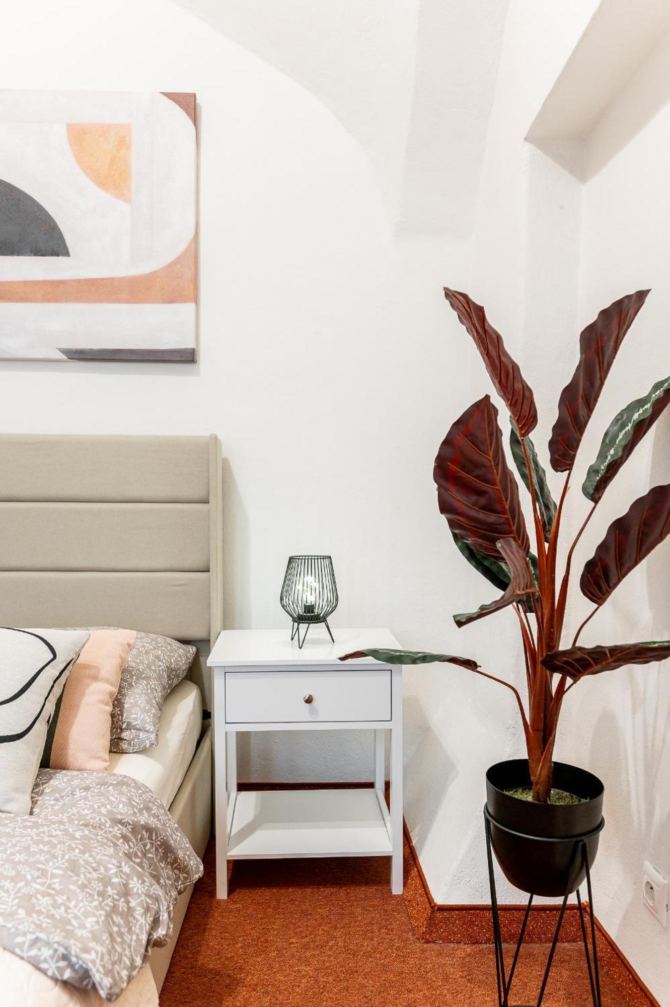 K1 Piatok Sobota Disco Cez Tyzden Tichy Apartman 科希策 外观 照片